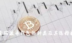 探索瑞波币钱包的种类及