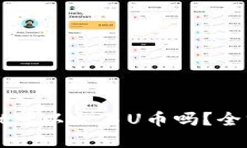 TPWallet可以交易U币吗？全方位解读