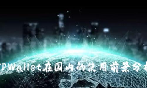 TPWallet在国内的使用前景分析