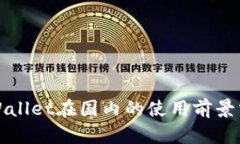 TPWallet在国内的使用前景分