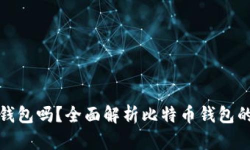 比特币一定要钱包吗？全面解析比特币钱包的必要性与选择