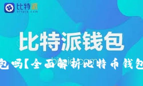 比特币一定要钱包吗？全面解析比特币钱包的必要性与选择