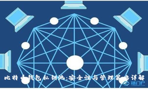 比特币钱包私钥池：安全性与管理策略详解