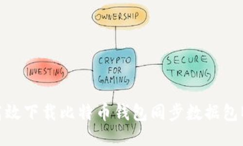 如何高效下载比特币钱包同步数据包BT种子