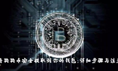 如何将狗狗币安全提取到你的钱包：详细步骤与注意事项