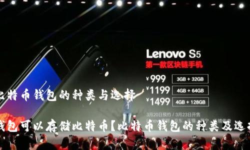 理解比特币钱包的种类与选择

什么钱包可以存储比特币？比特币钱包的种类及选择指南