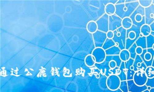 如何通过公鹿钱包购买USDT：详细指南