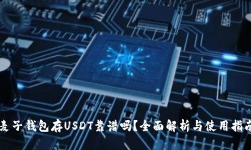 麦子钱包存USDT靠谱吗？全面解析与使用指南