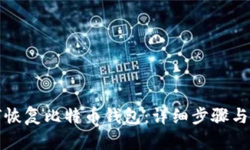 如何恢复比特币钱包：详细步骤与技巧
