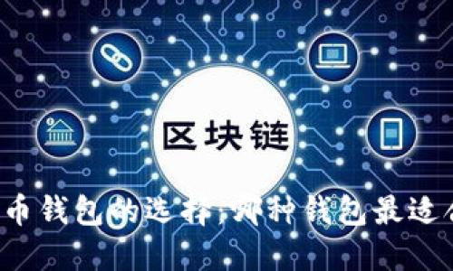 比特币钱包的选择：哪种钱包最适合你？