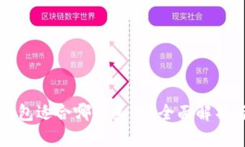 比特币冷钱包适合哪种系统？全面解析与应用指南