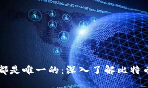 每个比特币钱包都是唯一的：深入了解比特币钱包的工作原理