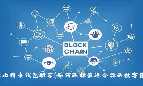 2023年最新比特币钱包推荐：如何选择最适合你的数字资产管理工具