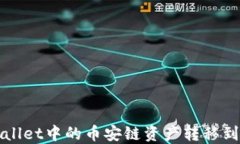 如何将TPWallet中的币安链资