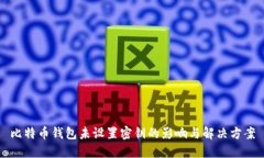比特币钱包未设置密钥的