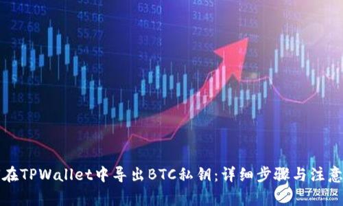 如何在TPWallet中导出BTC私钥：详细步骤与注意事项