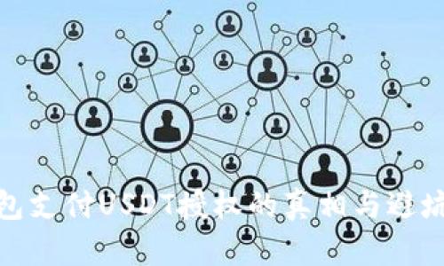 : 钱包支付USDT授权的真相与避坑指南