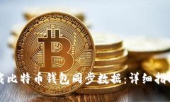 如何高效下载比特币钱包