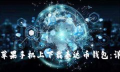 如何在苹果手机上下载泰