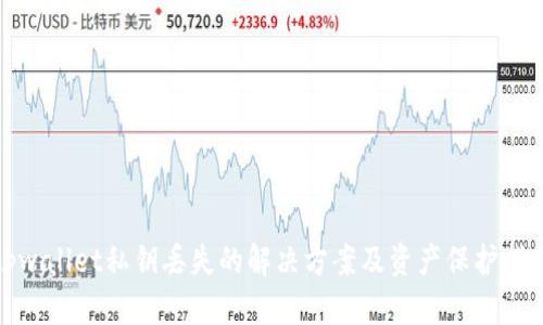 tpwallet私钥丢失的解决方案及资产保护指南
