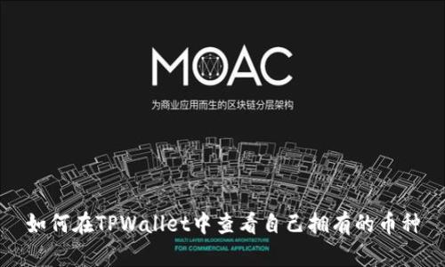 如何在TPWallet中查看自己拥有的币种