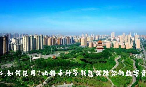 专家揭秘：如何使用1比特币种子钱包保障你的数字资产安全？