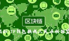 专家揭秘：TP钱包换成人民币的独家秘诀！