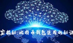 专家独家揭秘：比特币钱包使用的秘诀与技巧