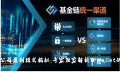 TPWallet公司盈利模式揭秘：专家独家解析TPWallet的