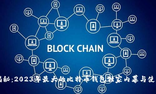 专家揭秘：2023年最大的比特币钱包独家内幕与使用秘诀
