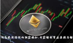 以太坊钱包更新缓慢的独家揭秘：专家解析背后