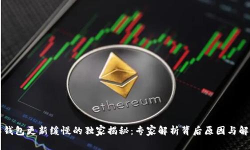 以太坊钱包更新缓慢的独家揭秘：专家解析背后原因与解决秘诀