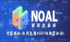 专家揭秘：冷钱包转USDT的独家秘诀！
