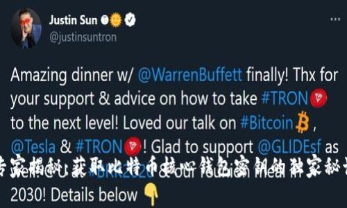 专家揭秘：获取比特币核心钱包密钥的独家秘诀