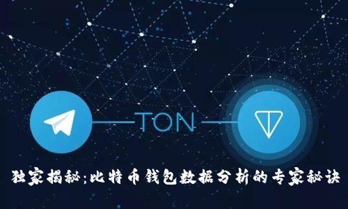 独家揭秘：比特币钱包数据分析的专家秘诀