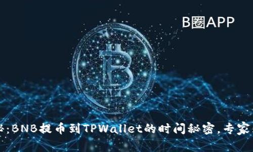 独家揭秘：BNB提币到TPWallet的时间秘密，专家为你解析