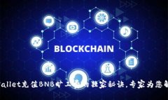 TPWallet充值BNB旷工费的独家