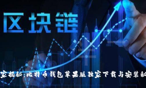 专家揭秘：比特币钱包苹果版独家下载与安装秘诀