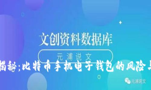 专家独家揭秘：比特币手机电子钱包的风险与安全秘诀