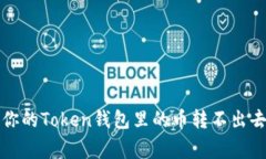 专家揭秘：为什么你的Token钱包里的币转不出去？