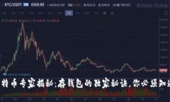 比特币专家揭秘：存钱包的独家秘诀，你必须知