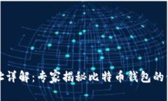 比特币钱包地址详解：专家揭秘比特币钱包的位