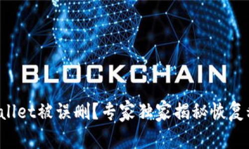 TPWallet被误删？专家独家揭秘恢复秘诀！