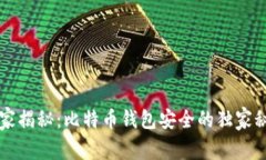 专家揭秘：比特币钱包安全的独家秘诀