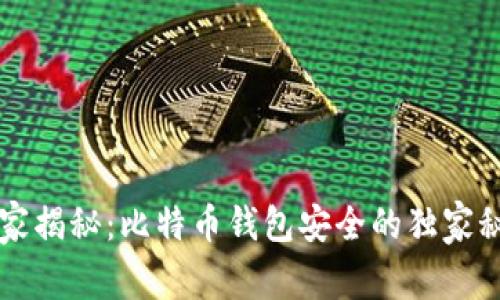 专家揭秘：比特币钱包安全的独家秘诀
