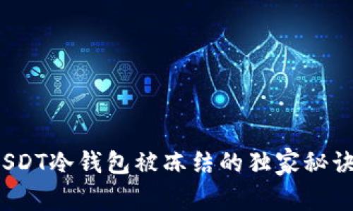 专家揭秘：USDT冷钱包被冻结的独家秘诀与解决方案