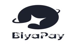 专家独家揭秘：狗狗币钱包使用秘诀，轻松存取