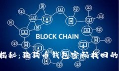 专家独家揭秘：狗狗币钱包密码找回的终极秘诀