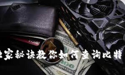 专家揭秘:独家秘诀教你如何查询比特币钱包余额!