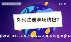 专家揭晓：iPhone用户必备